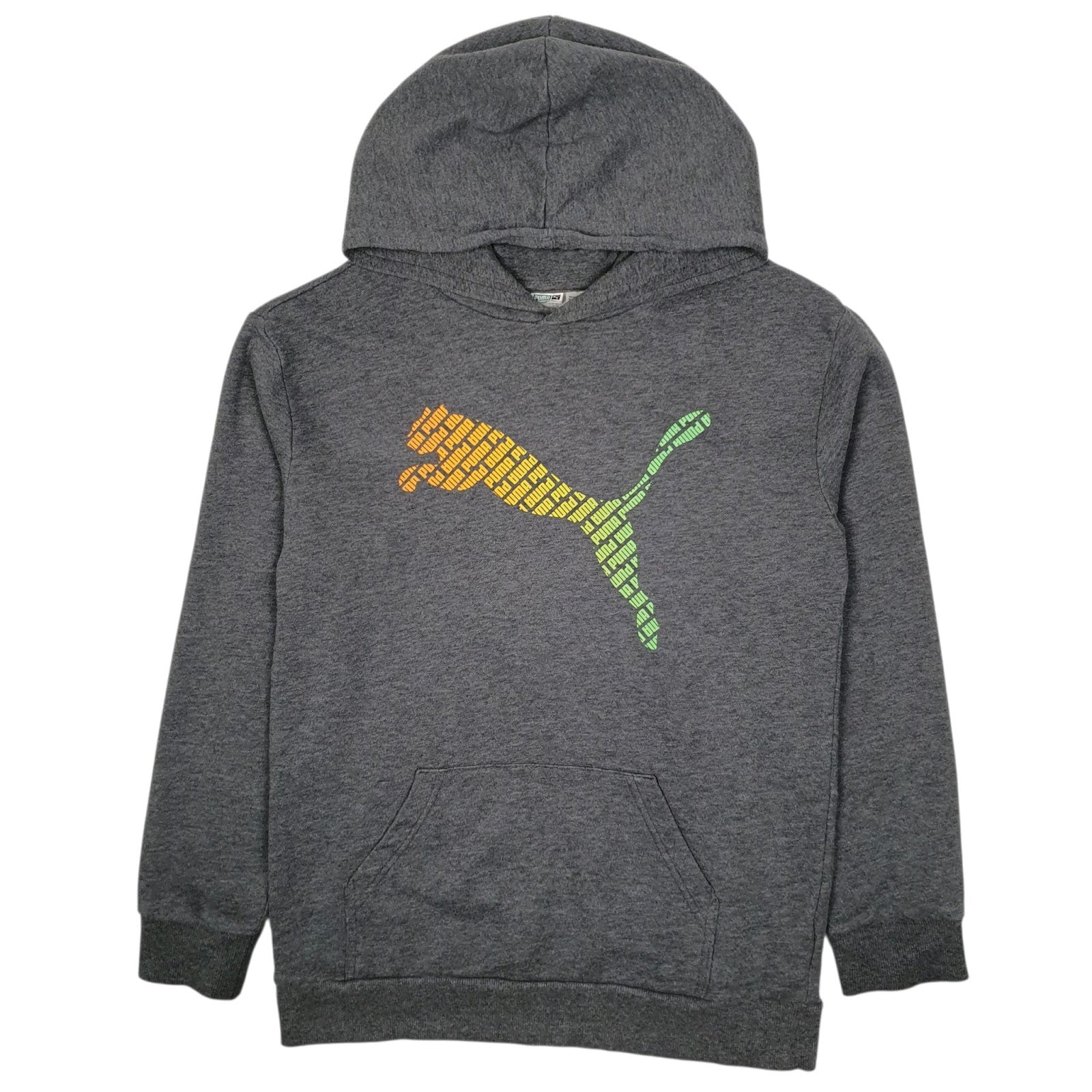 Mens Grey Puma  Hoodie Jumper