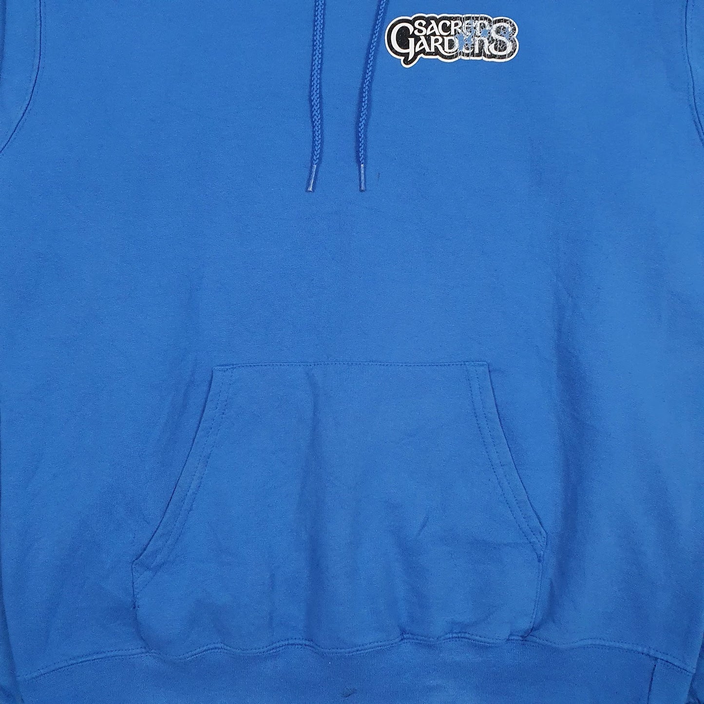Mens Blue Champion  Hoodie Jumper