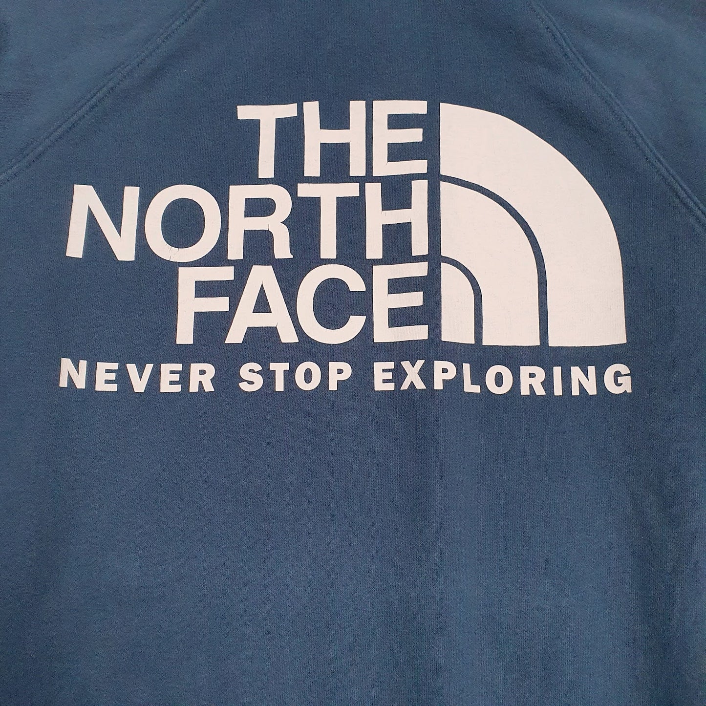 Womens Blue The North Face  Hoodie Jumper