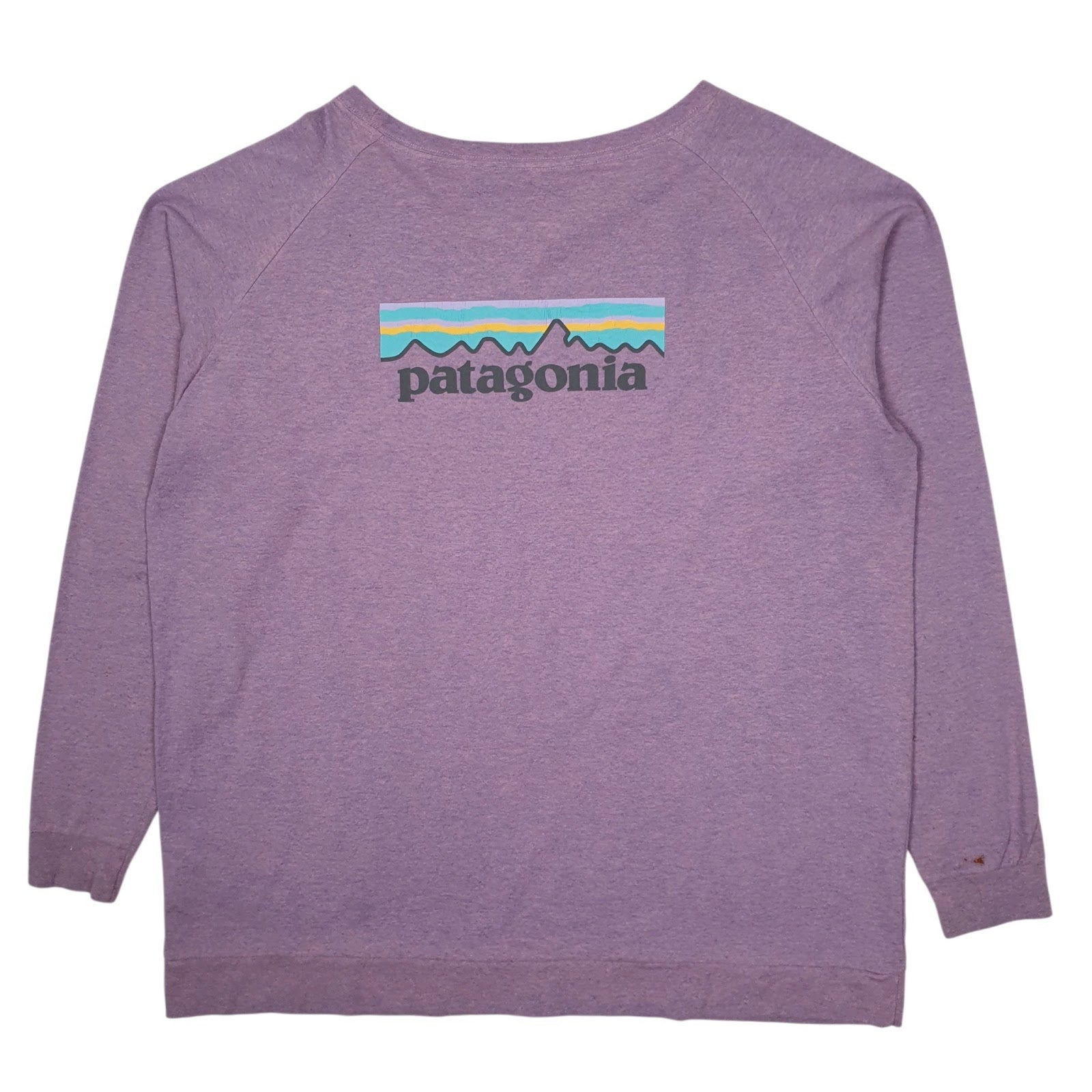 Womens Purple Patagonia Responsibili-Tee Hoodie T Shirt