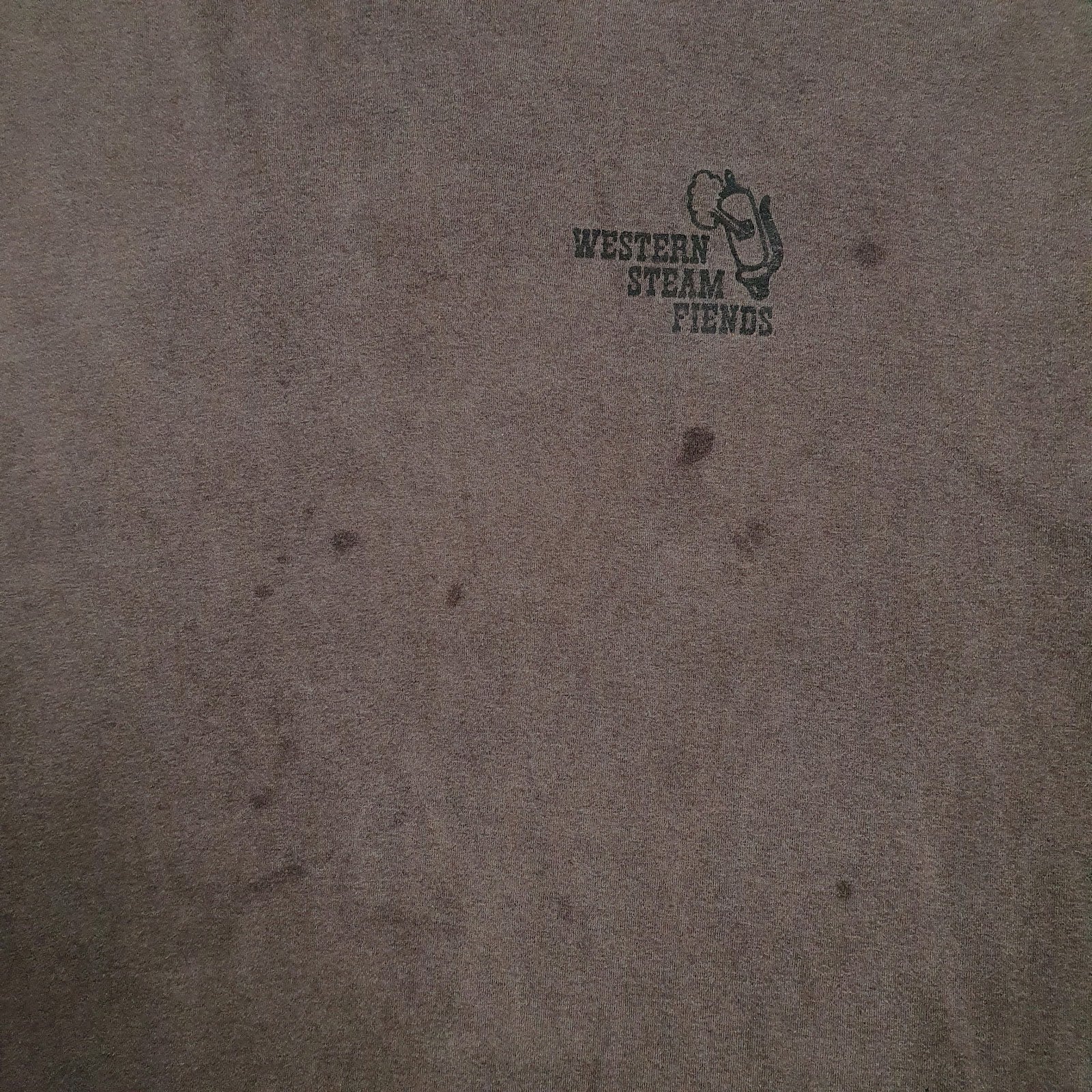 Mens Grey Hanes Western Steam Fiends  T Shirt