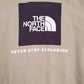 Mens Brown The North Face  Hoodie Jumper