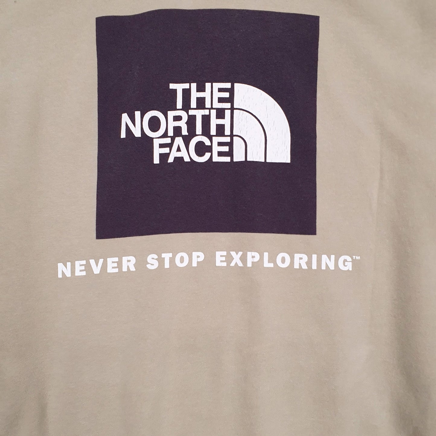 Mens Brown The North Face  Hoodie Jumper