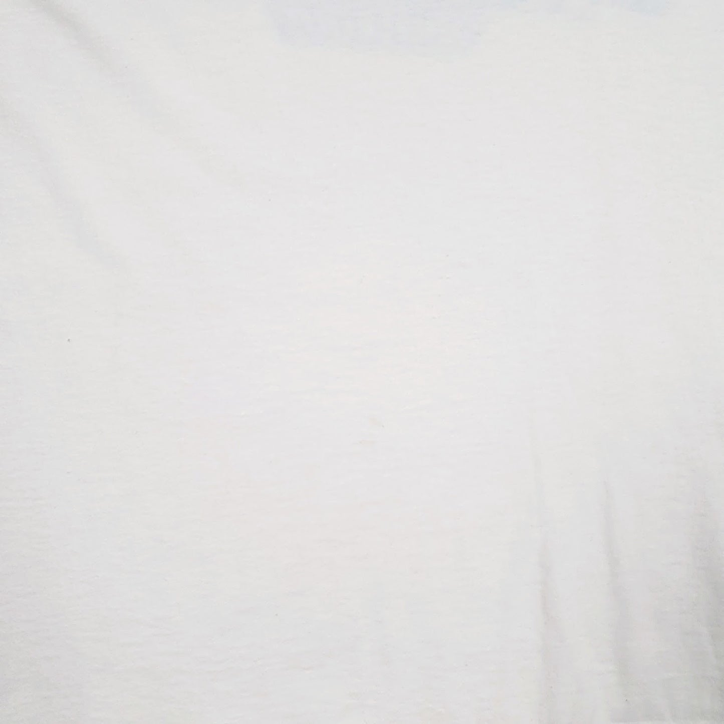 Mens White Fruit Of The Loom Warriors Whiteout  T Shirt