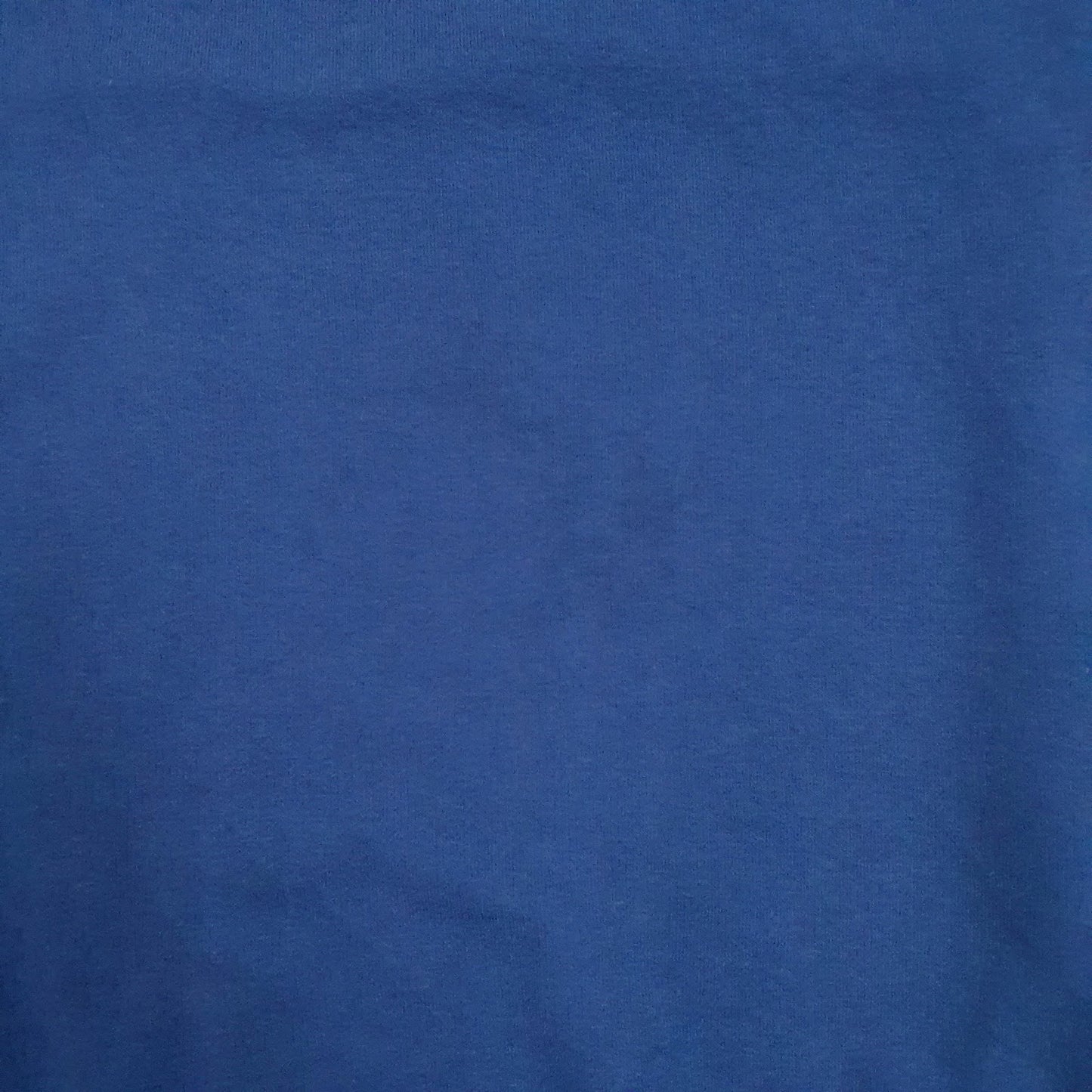 Mens Blue Champion Spellout Crewneck Jumper