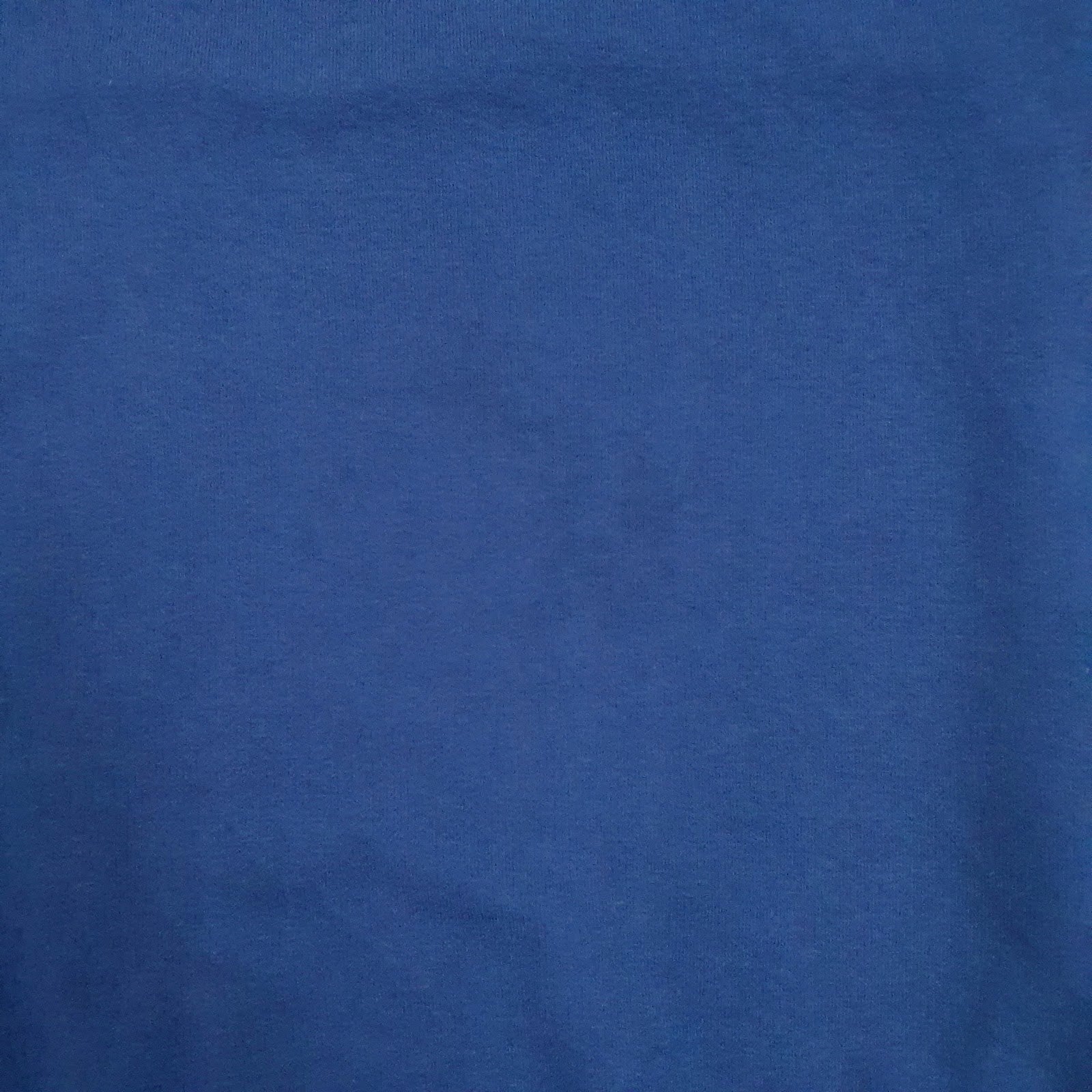 Mens Blue Champion Spellout Crewneck Jumper