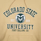 Mens Yellow Champion Colorado University Hoodie Jumper