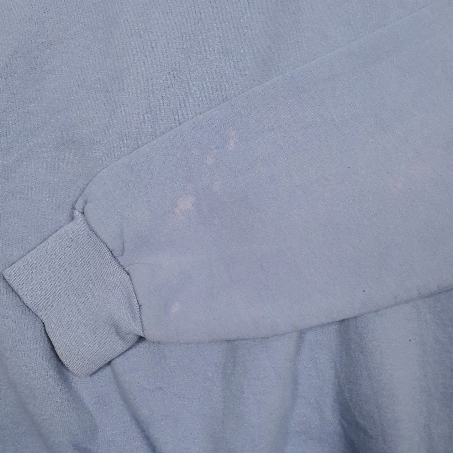 Womens Blue Champion  Hoodie Jumper