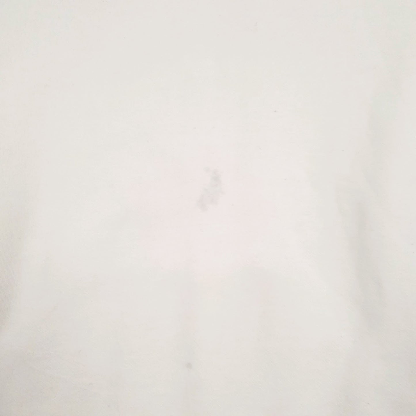Mens Cream Champion Spellout Hoodie Jumper