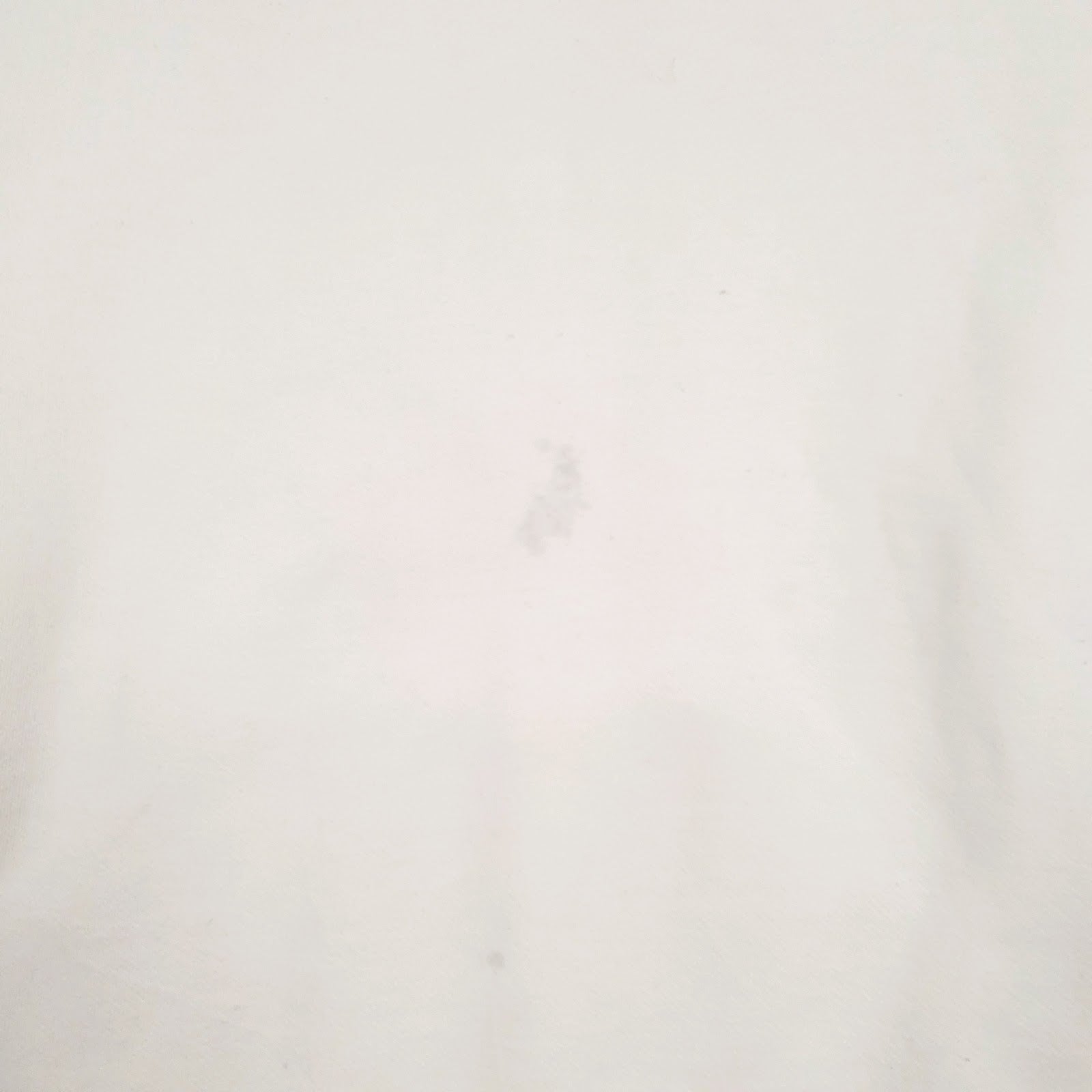 Mens Cream Champion Spellout Hoodie Jumper
