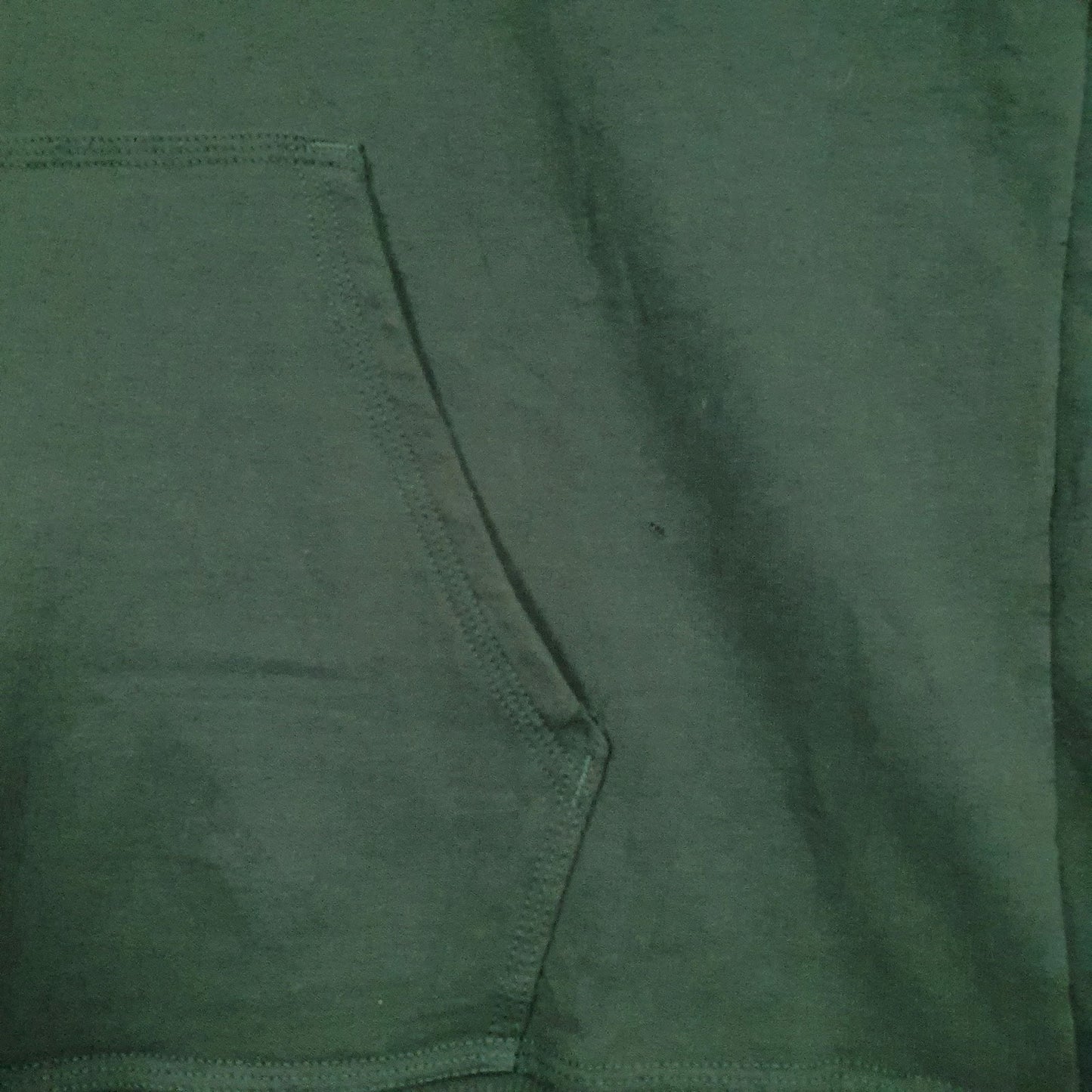 Mens Green Champion  Hoodie Jumper