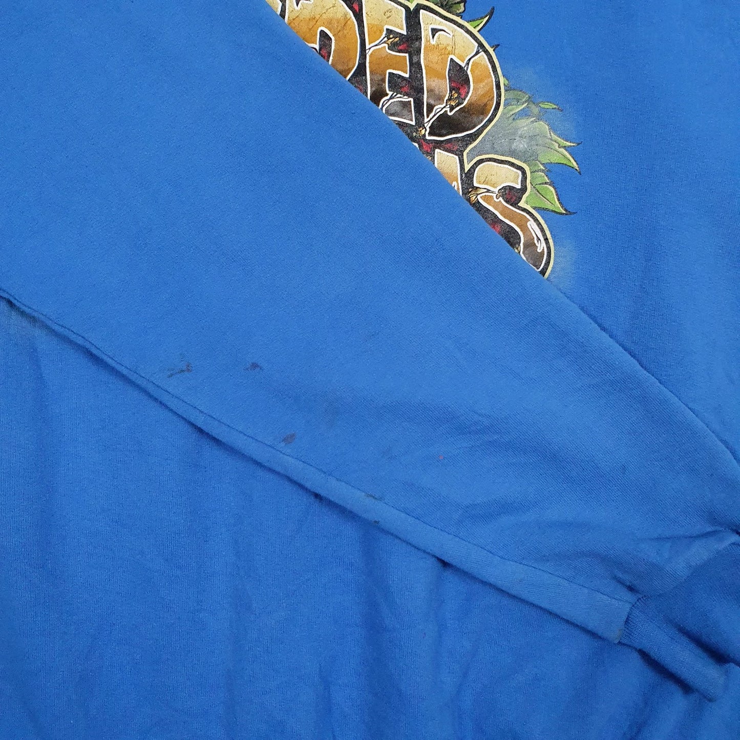Mens Blue Champion  Hoodie Jumper