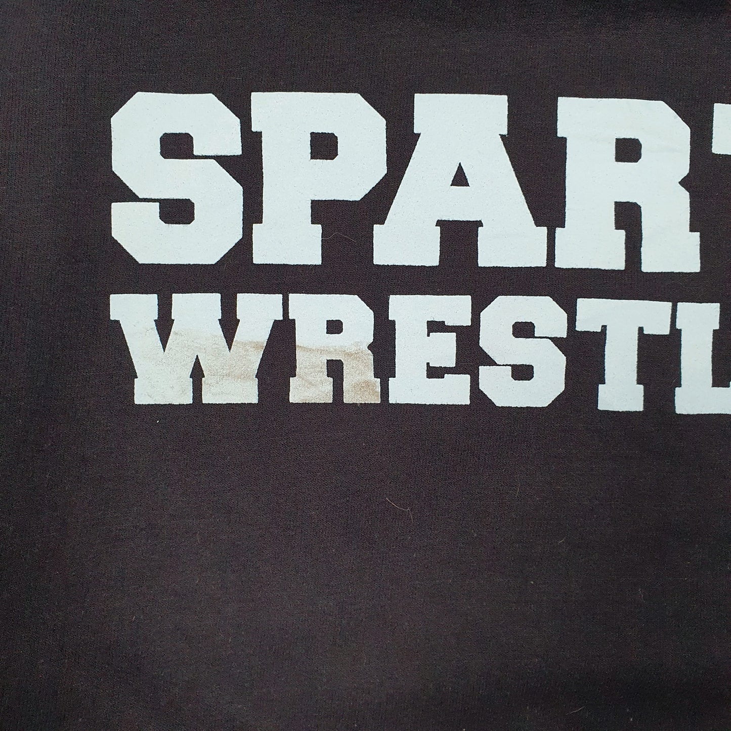 CHAMPION Hoodie Sparta Wrestling Jumper Sweatshirt Mens S