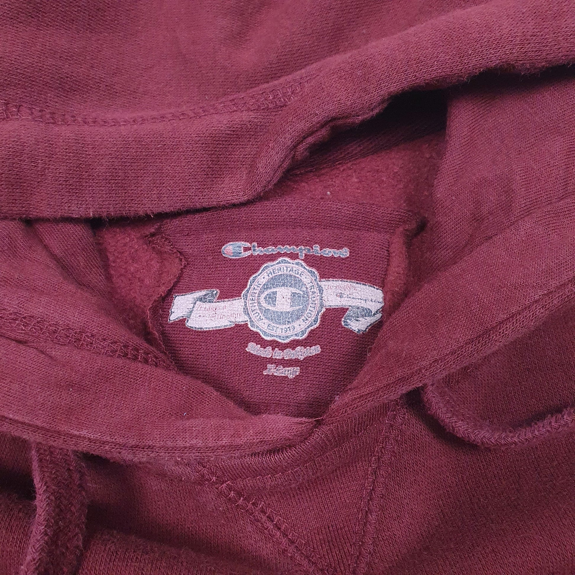 Womens Burgundy Champion University Of Minnesota Gophers Hockey Hoodie Jumper