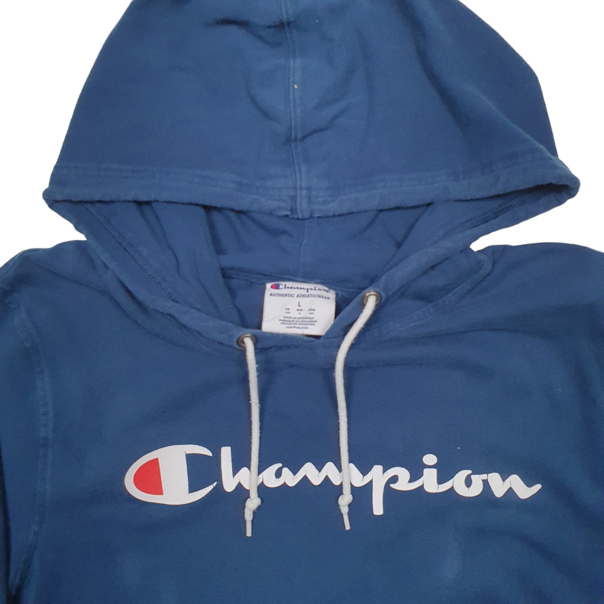 Mens Blue Champion Spellout Hoodie Jumper