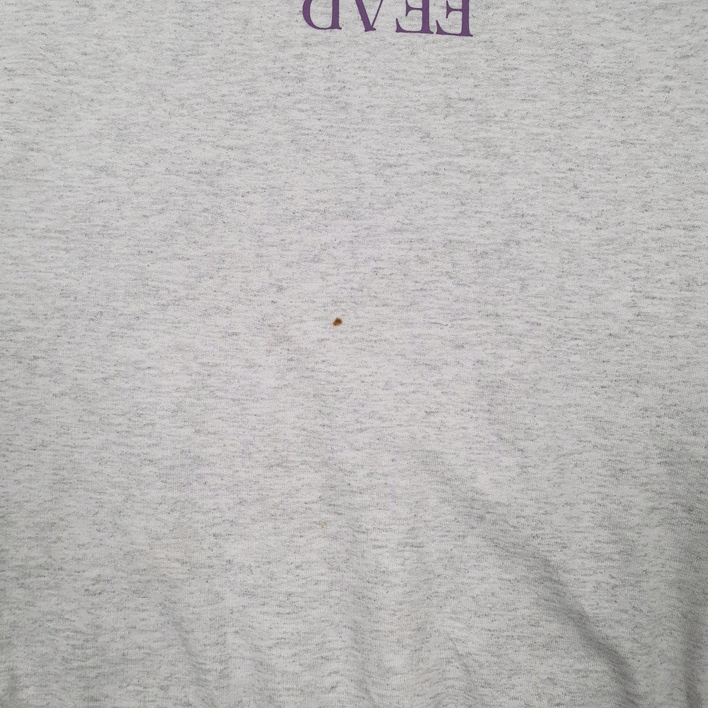 Mens Grey Champion Love Fear Life Church Crewneck Jumper