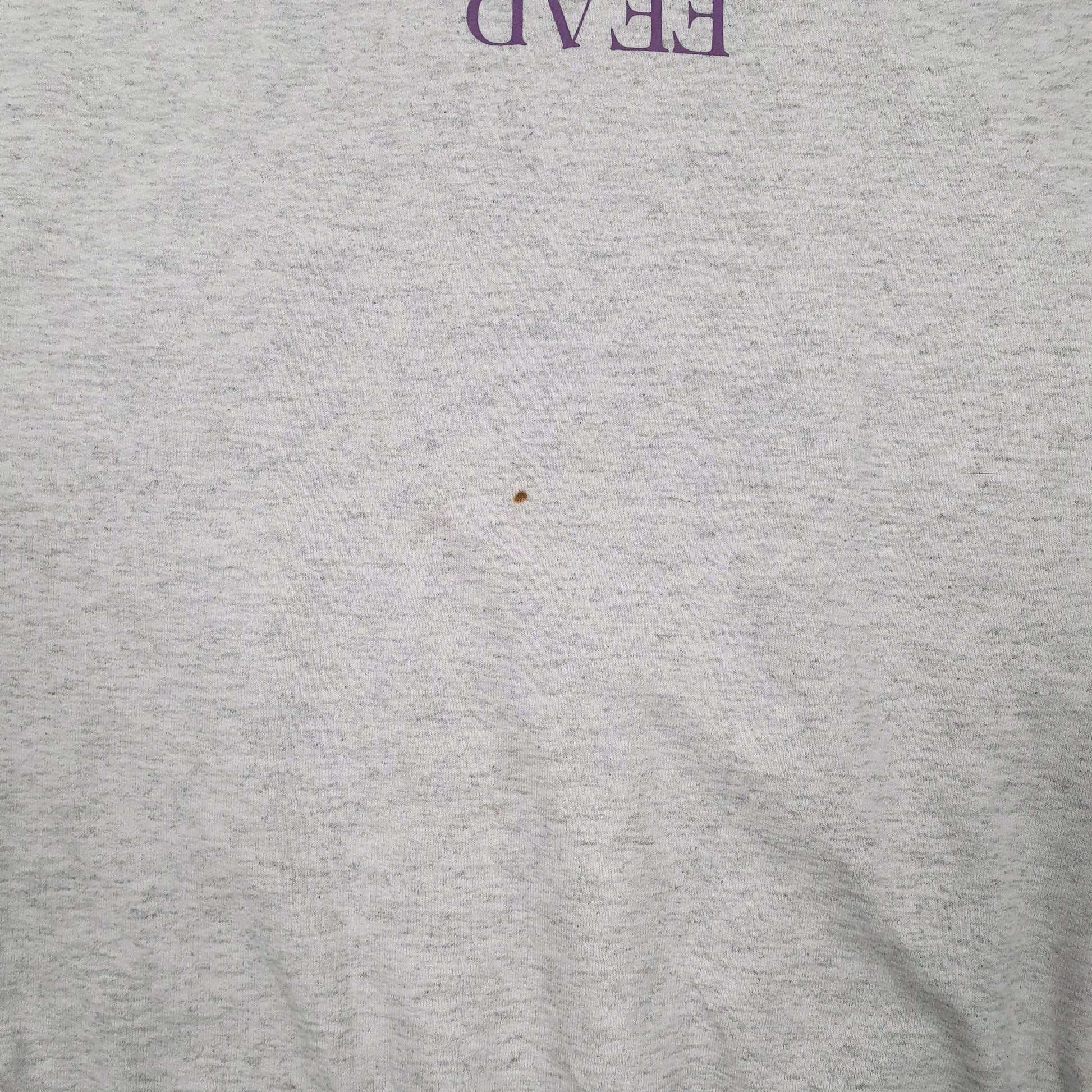 Mens Grey Champion Love Fear Life Church Crewneck Jumper