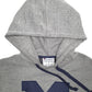 Mens Grey Champion Michigan Spellout Hoodie Jumper