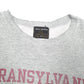 Mens Grey Campus Outfitters Transylvania University USA Vintage Crewneck Jumper