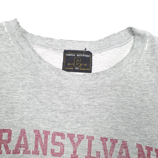 Mens Grey Campus Outfitters Transylvania University USA Vintage Crewneck Jumper