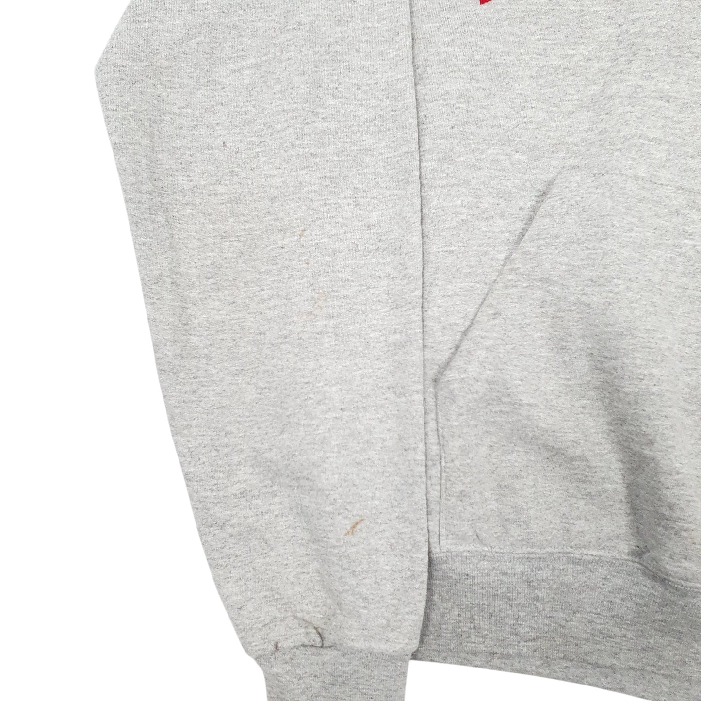 Womens Grey Champion Wisconsin Hoodie Jumper