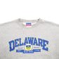 Womens Grey Champion Delaware Spellout Crewneck Jumper