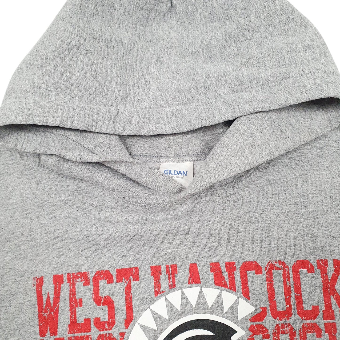 Mens Grwy Gildan USA College Football Hoodie Jumper