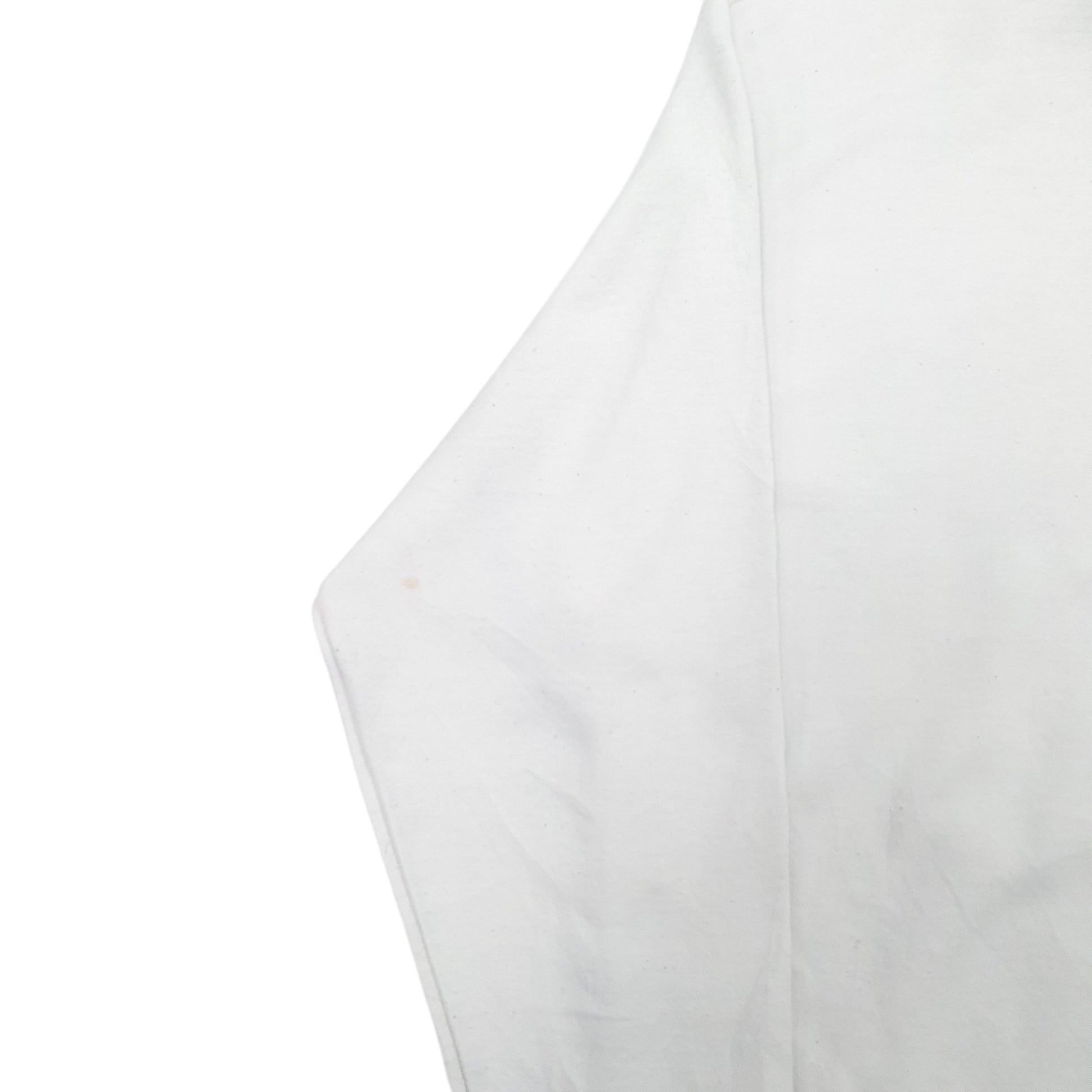Mens White Champion Spellout Hoodie Jumper