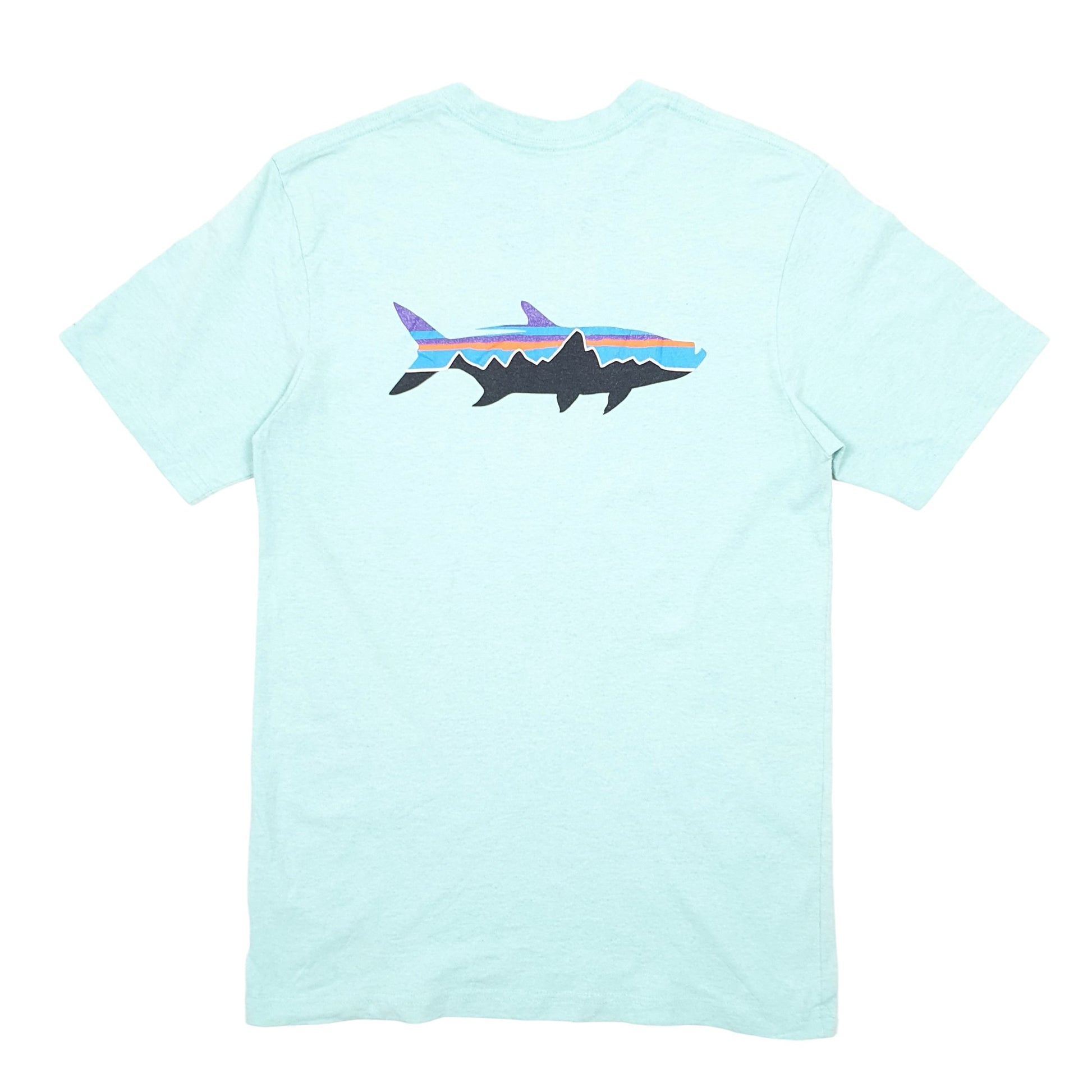 Mens Turquoise Patagonia Responsible Tee Fish Outdoors Short Sleeve T Shirt