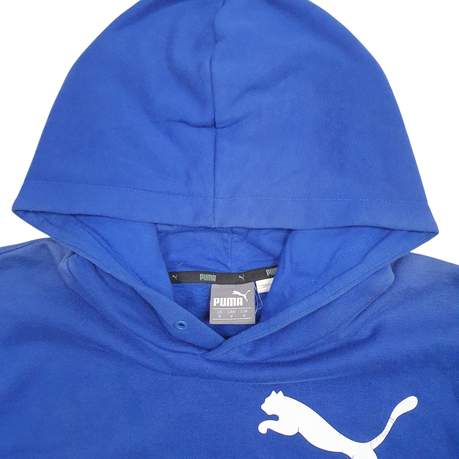 Mens Blue Puma Spellout Hoodie Jumper