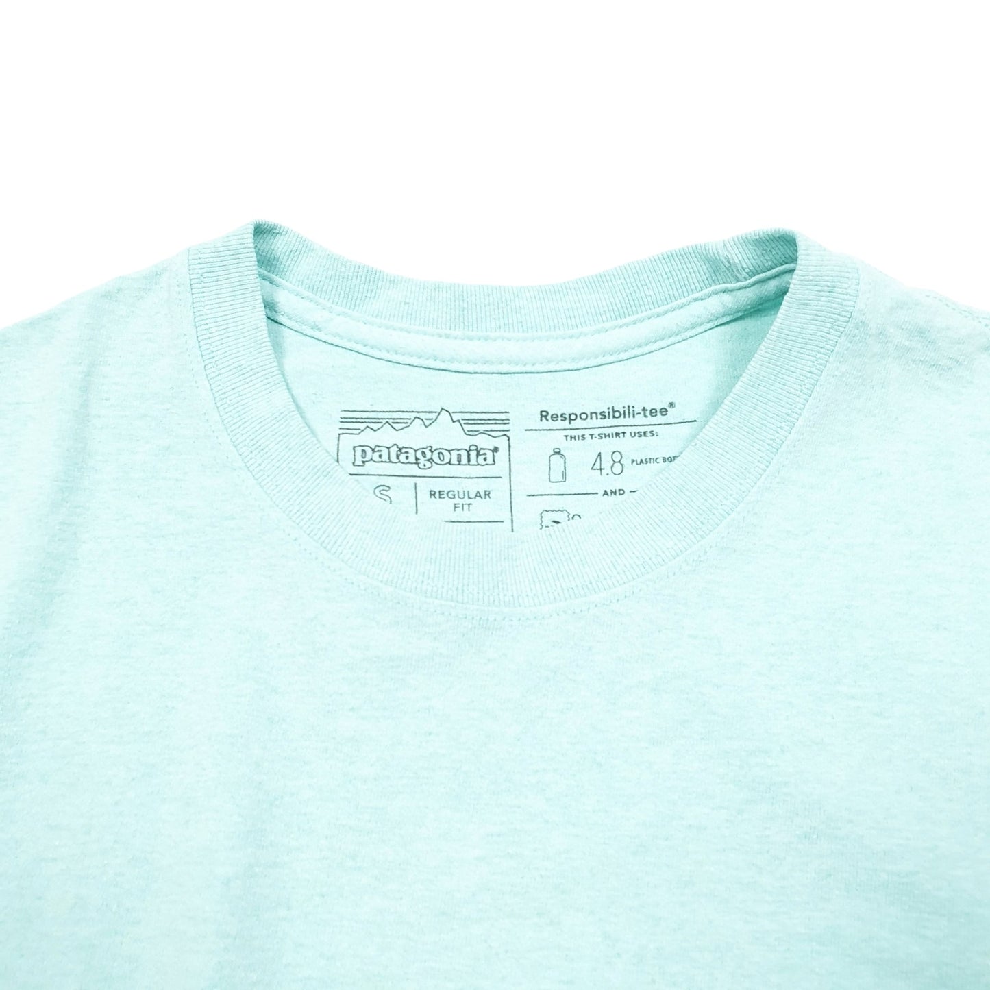 Mens Turquoise Patagonia Responsible Tee Fish Outdoors Short Sleeve T Shirt