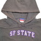 Mens Grey Champion SF State Spellout Hoodie Jumper