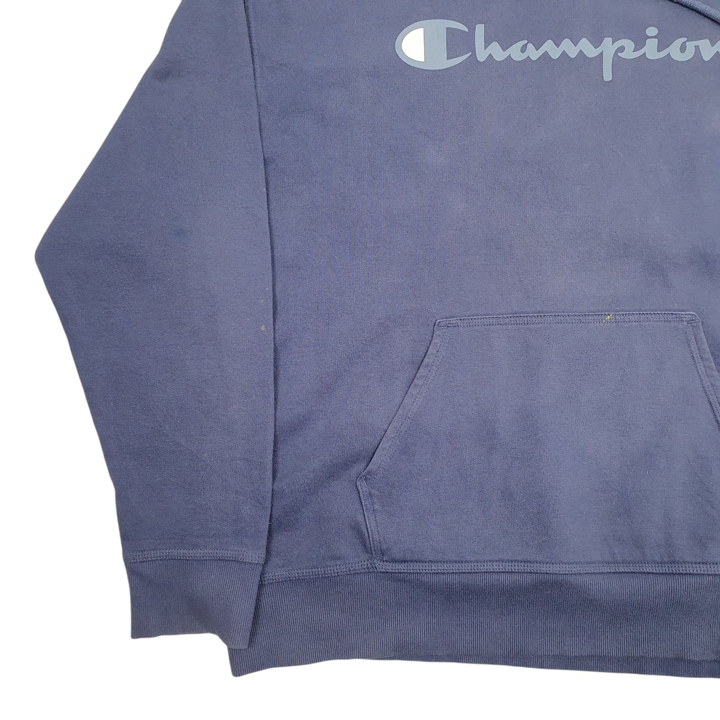 Mens Blue Champion Spellout Hoodie Jumper
