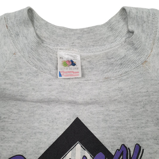 Mens Grey Fruit of the Loom Vintage 1990s Made In USA Crewneck Jumper