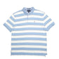 Mens Blue Tommy Hilfiger Stripes Short Sleeve Polo Shirt