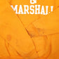 Mens Orange Champion Franklin and Marshall Hoodie Jumper