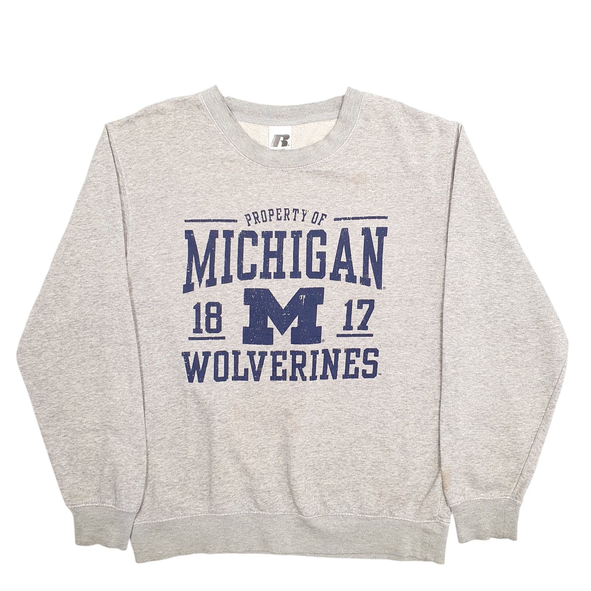 Mens Grey Russell Athletic Michigan Wolverines Spellout Crewneck Jumper