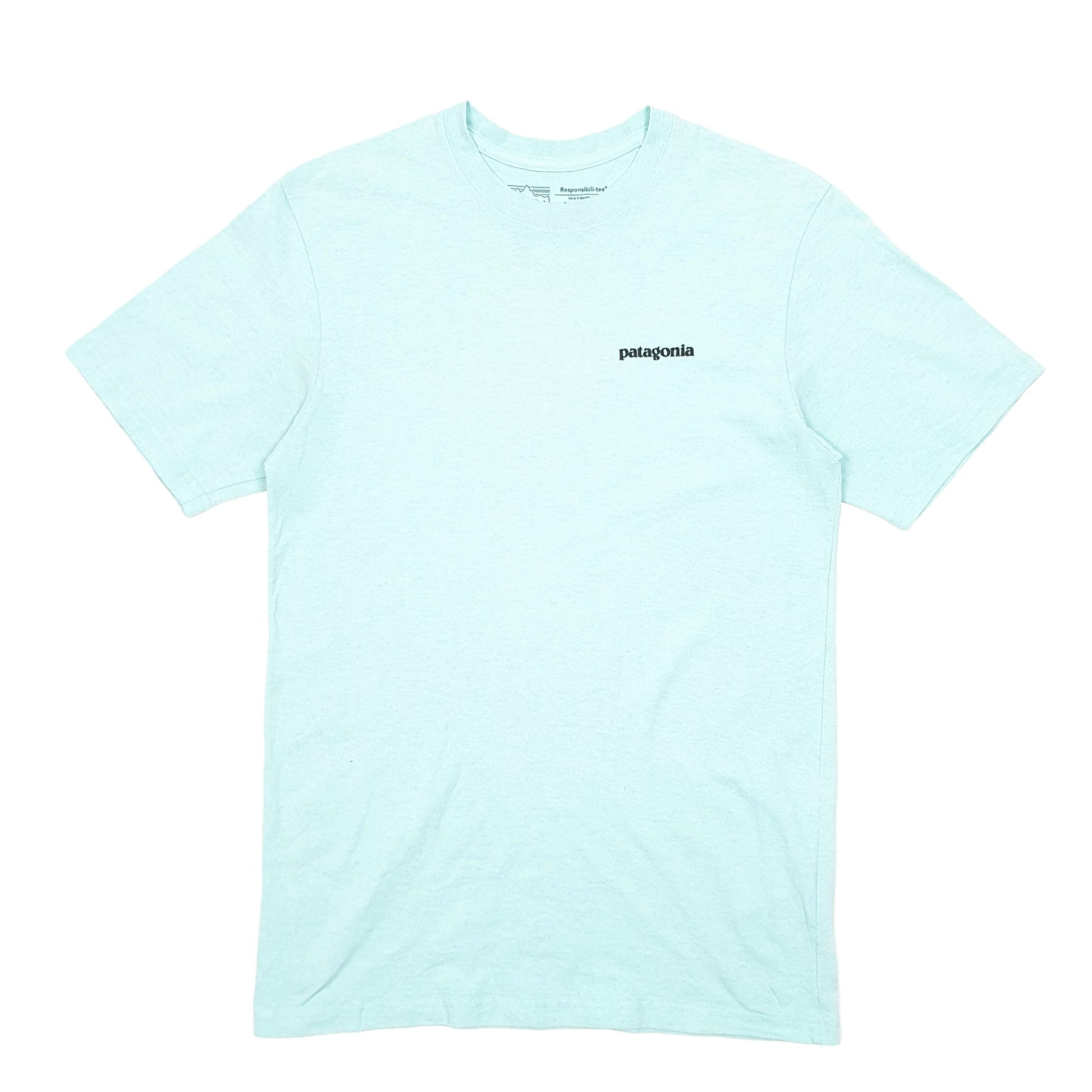Mens Turquoise Patagonia Responsible Tee Fish Outdoors Short Sleeve T Shirt