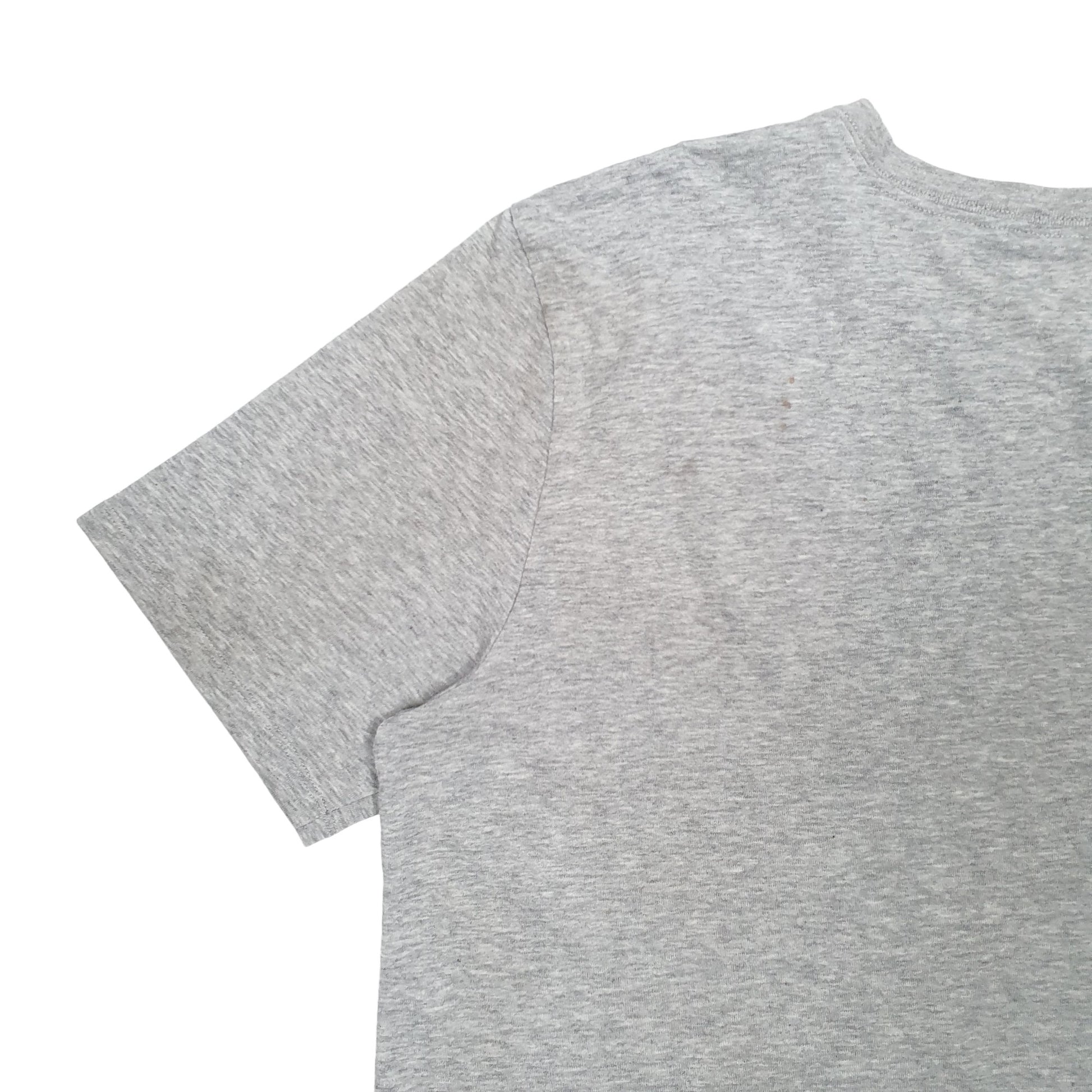 Mens Grey Nike  Short Sleeve T Shirt