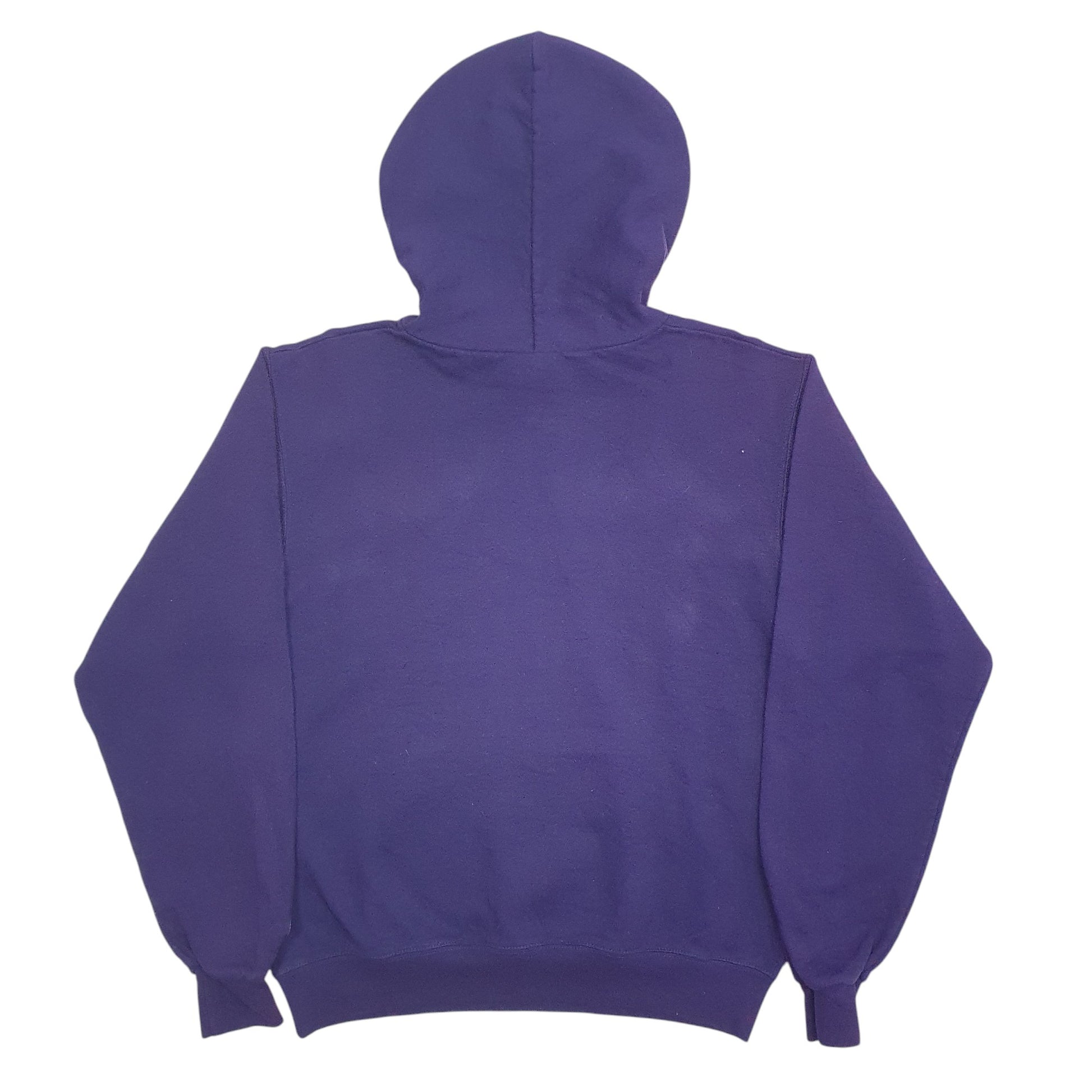 Womens Purple Champion Panthers Spellout Hoodie Jumper