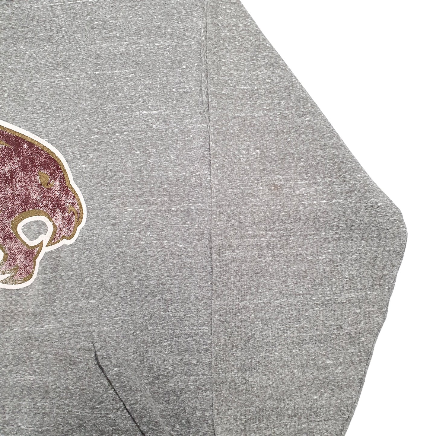 Mens Grey Champion USA College Hoodie Jumper