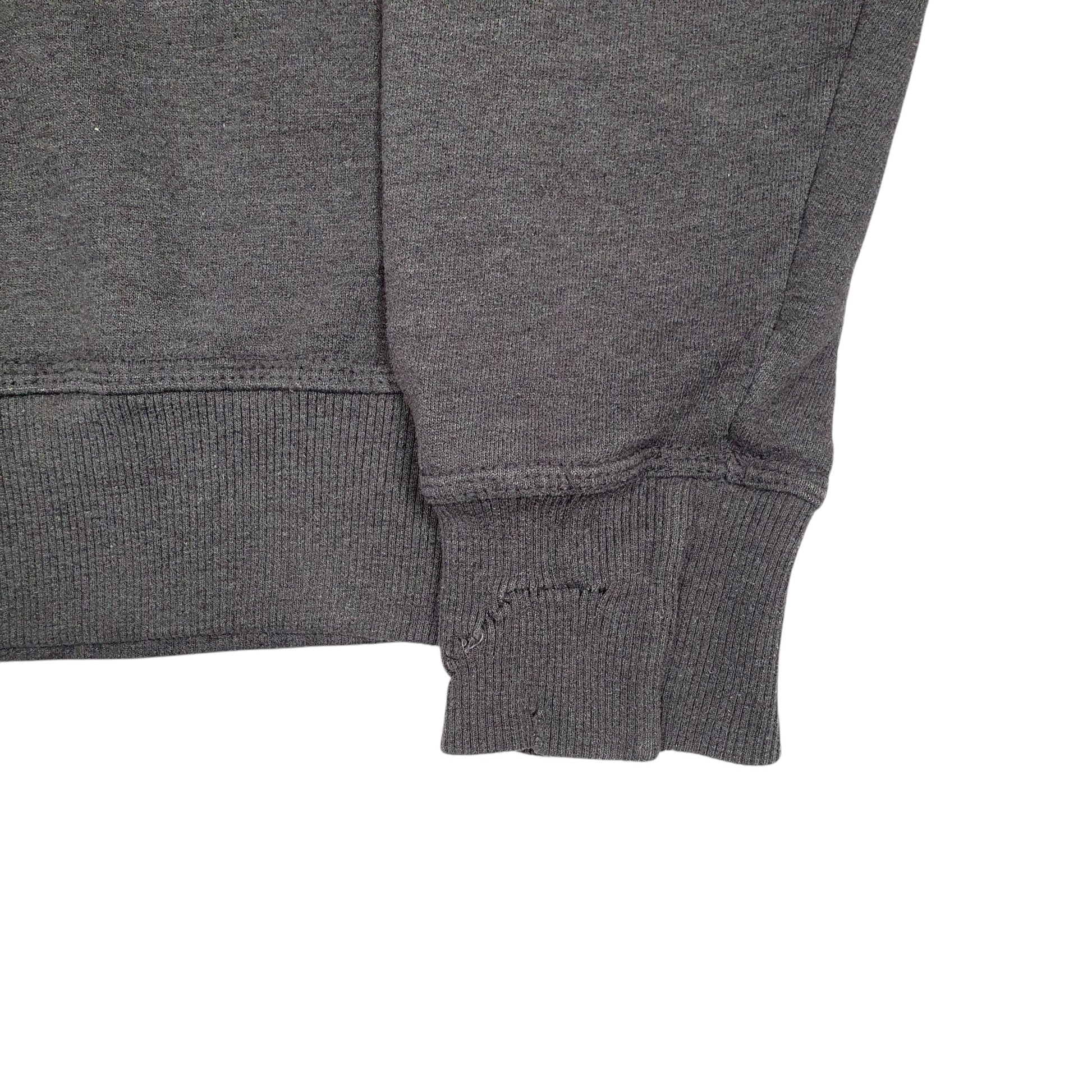 Mens Grey Champion Spellout Hoodie Jumper