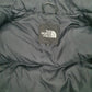 Mens Grey The North Face Nuptse 700  Coat