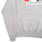 Mens Grey Champion USA Spellout Hoodie Jumper