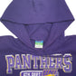 Womens Purple Champion Panthers Spellout Hoodie Jumper