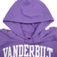 Mens Purple Champion Vanderbilt Spellout USA College Hoodie Jumper