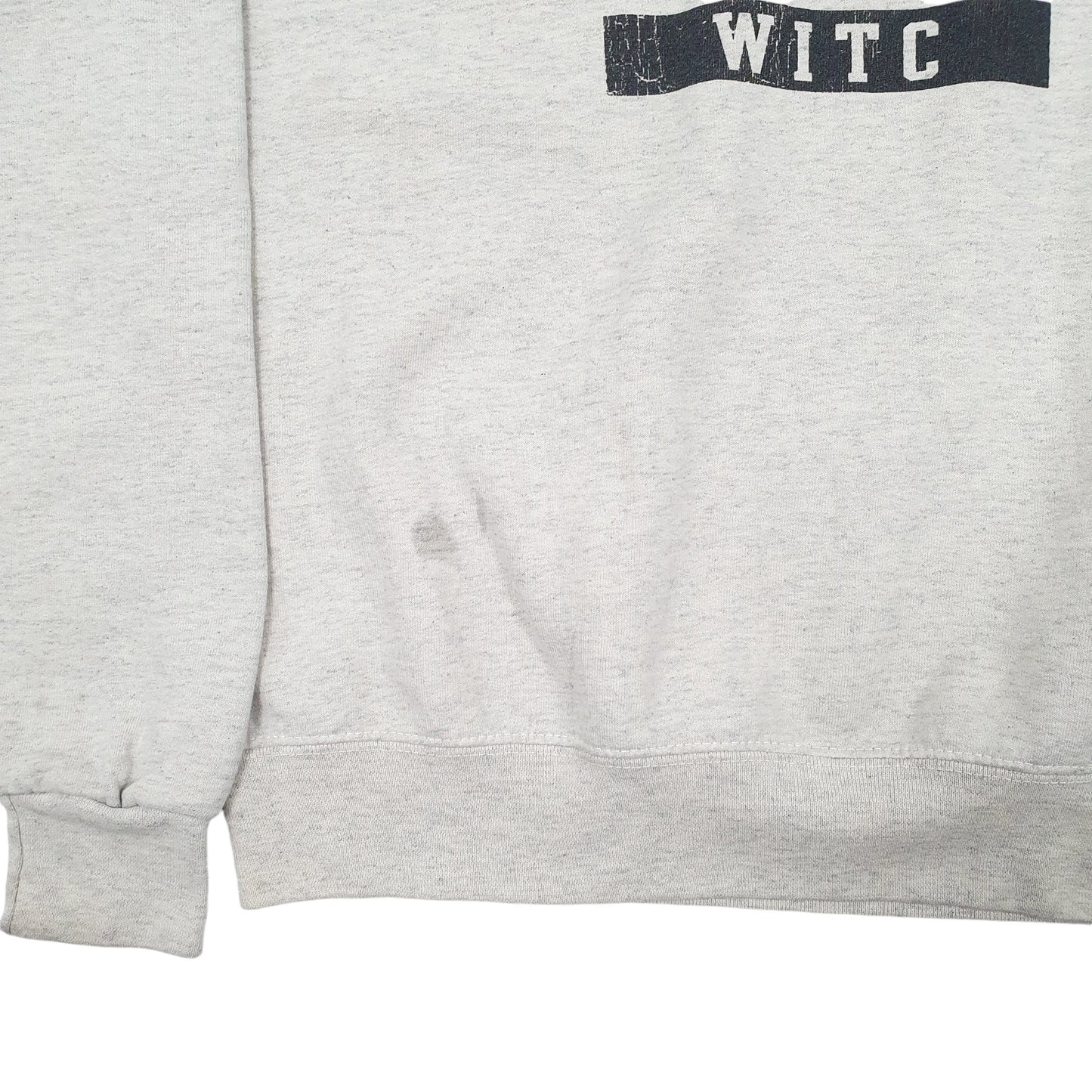 Mens Beige Champion Wisconsin USA College Crewneck Jumper