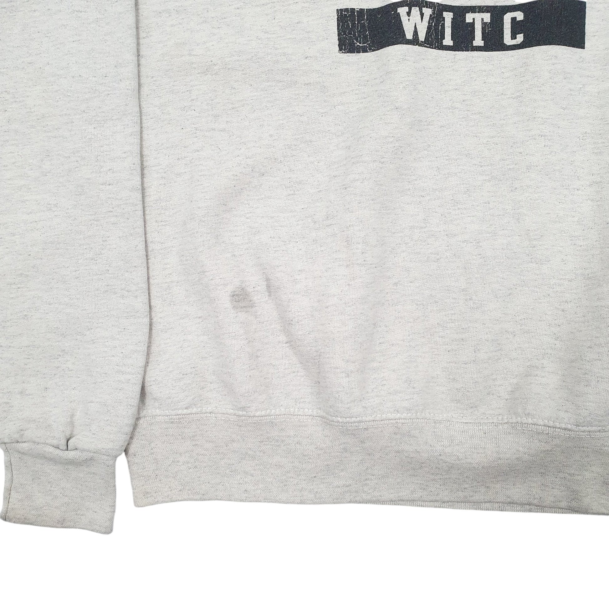 Mens Beige Champion Wisconsin USA College Crewneck Jumper