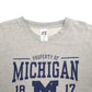 Mens Grey Russell Athletic Michigan Wolverines Spellout Crewneck Jumper