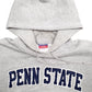 Mens Grey Champion Penn State Spellout Hoodie Jumper